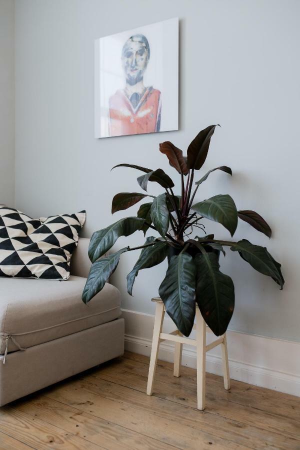 Baixa24 •P2R• Bright Apt In Vibrant Downtown Porto Buitenkant foto